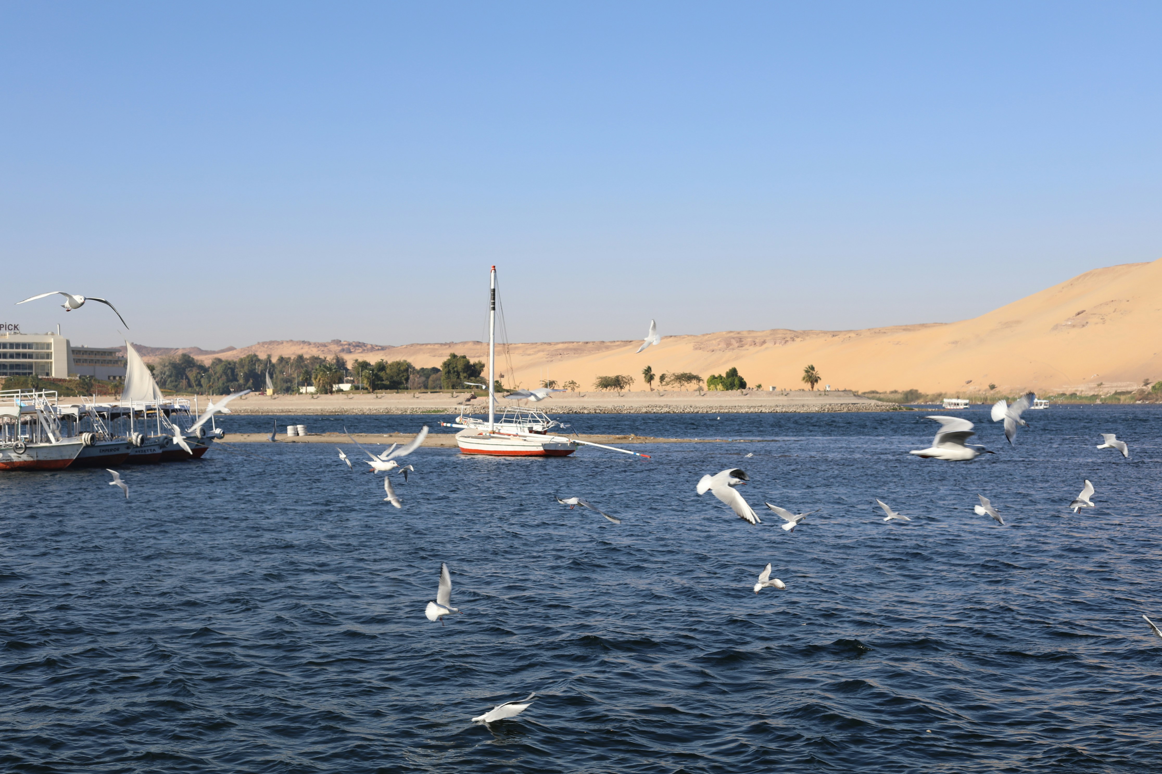 EGYPT COMPLETE - Image 2