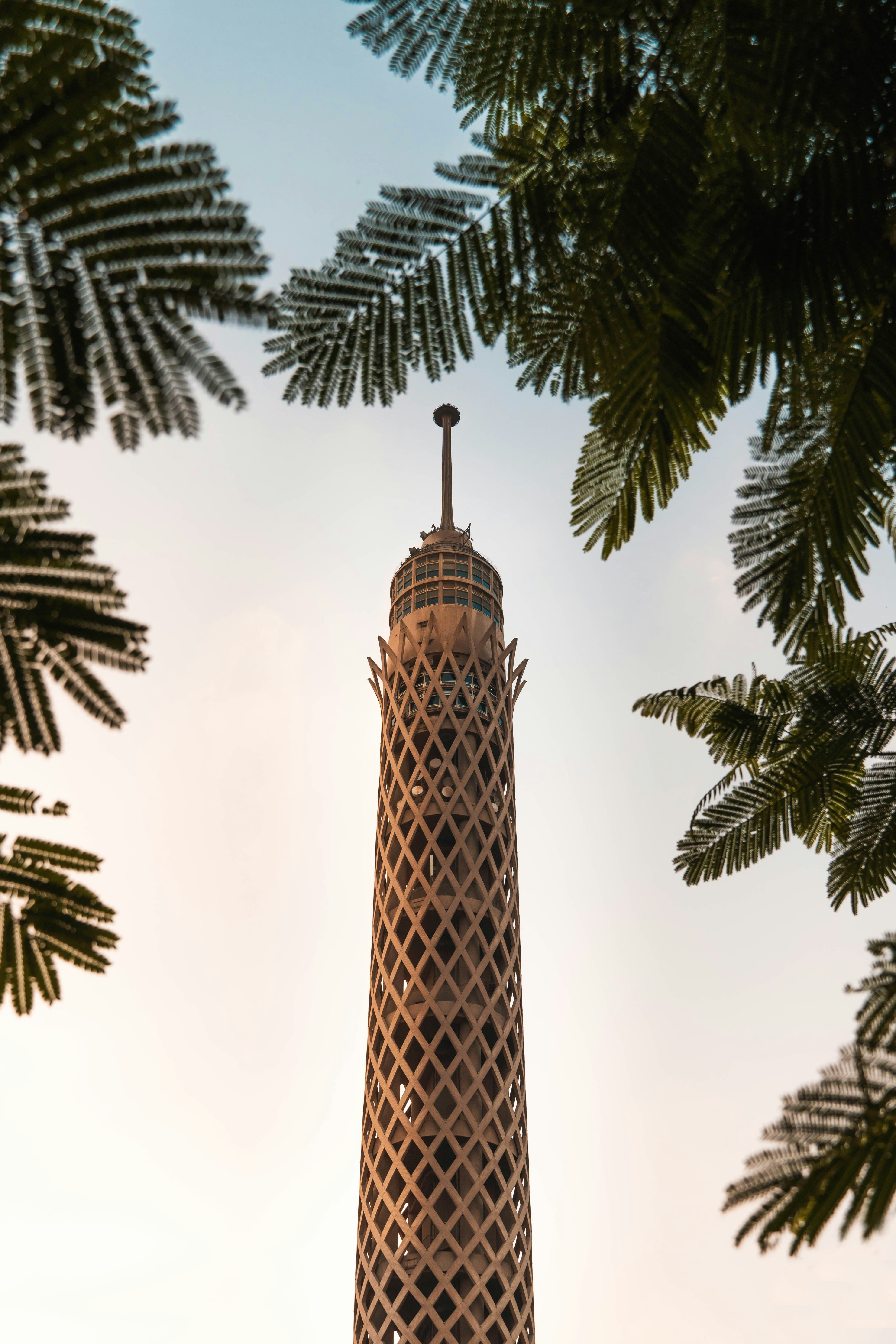THE WONDERFUL CAIRO - Image 9